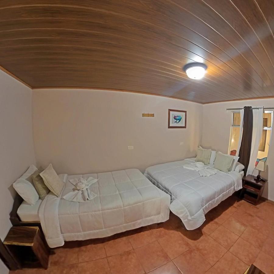 Casa Jungle Monteverde B&B Kültér fotó