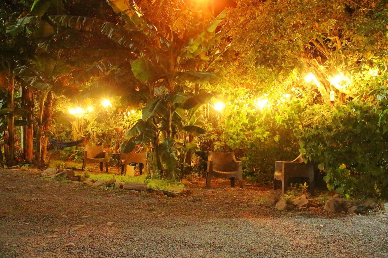 Casa Jungle Monteverde B&B Kültér fotó