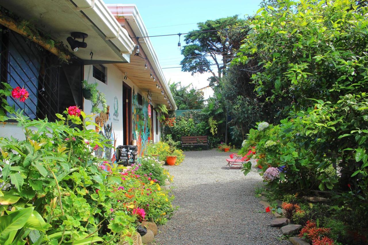 Casa Jungle Monteverde B&B Kültér fotó