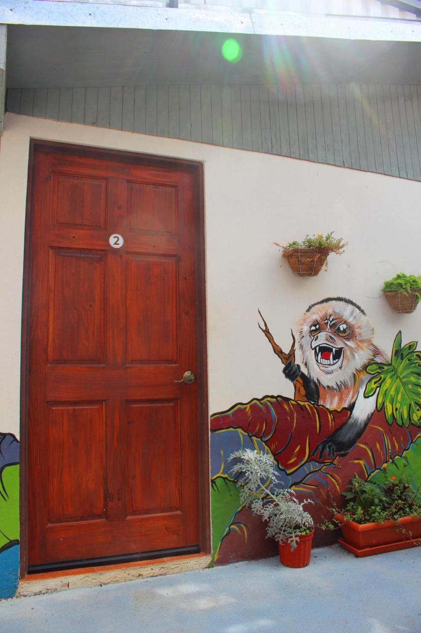 Casa Jungle Monteverde B&B Kültér fotó